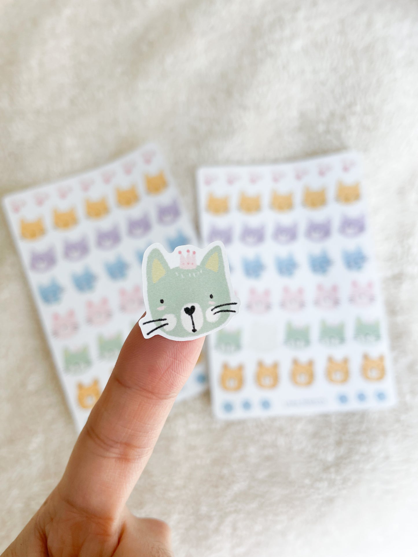 Kitty Faces