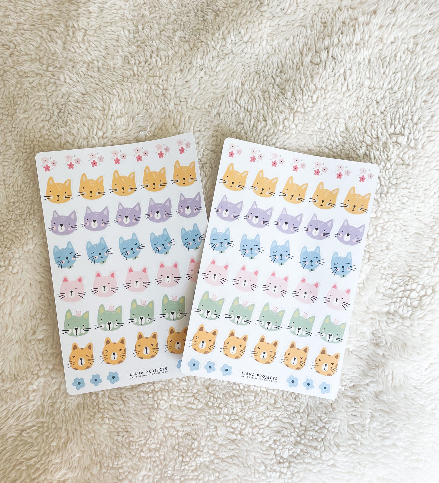Kitty Faces