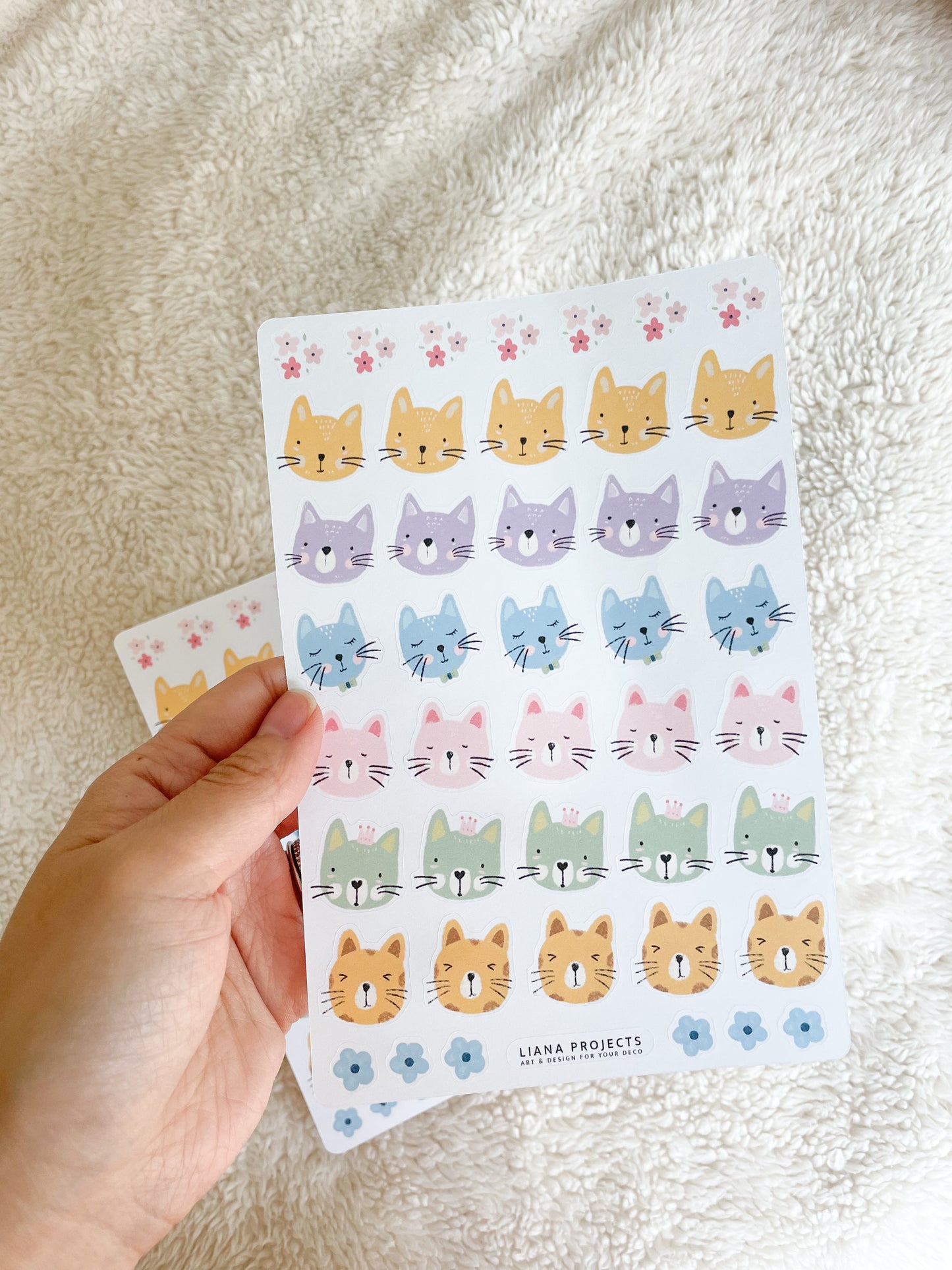 Kitty Faces