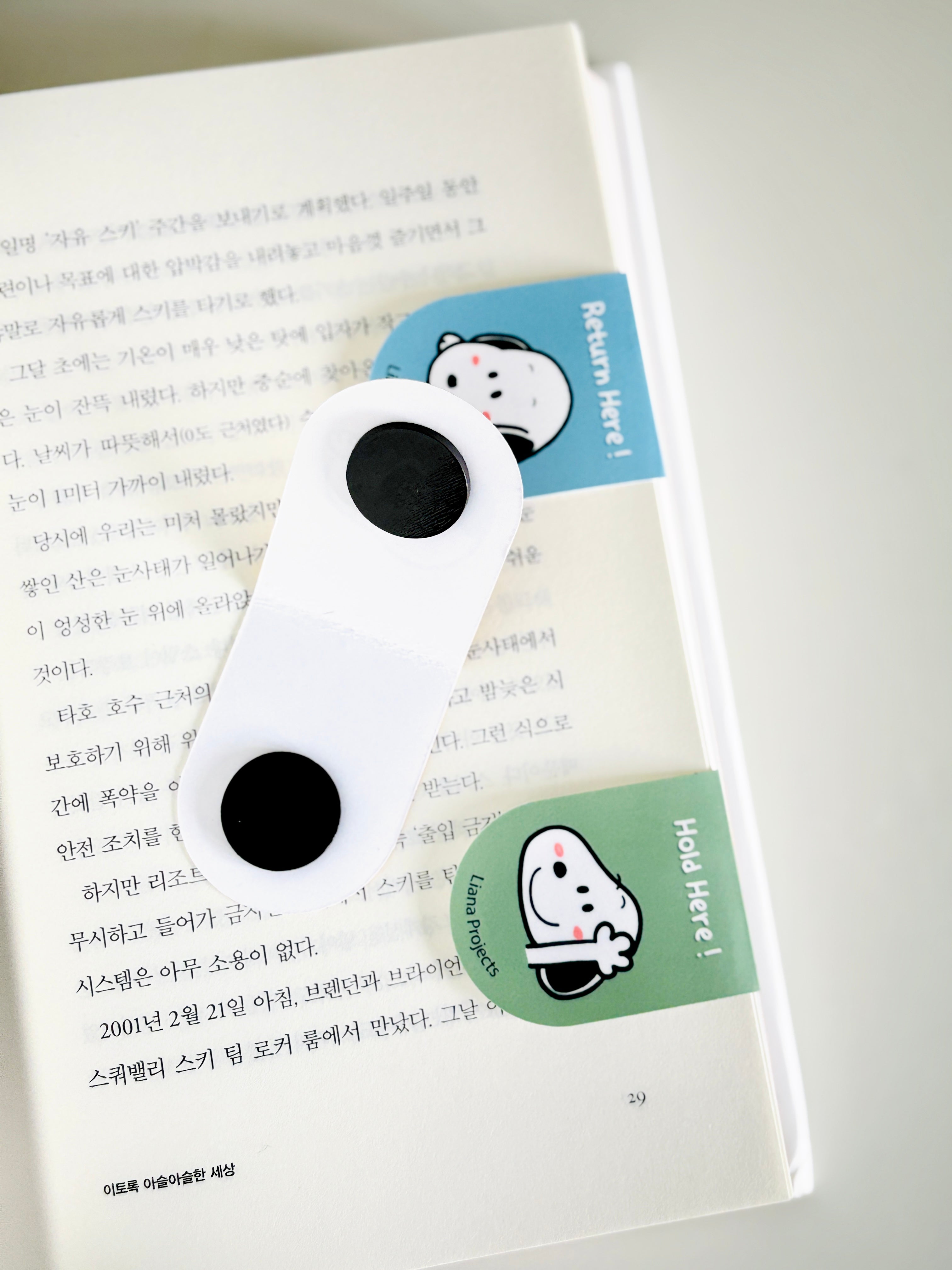 Magnetic Bookmarks