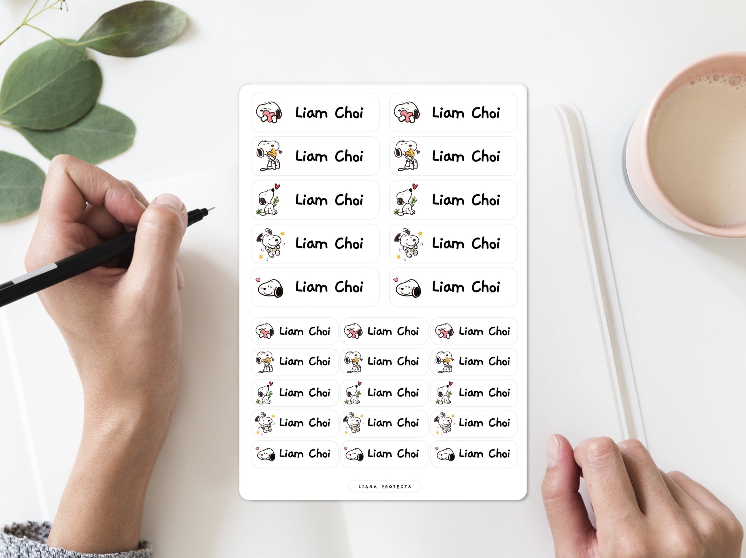Custom Name Stickers - Theme Options