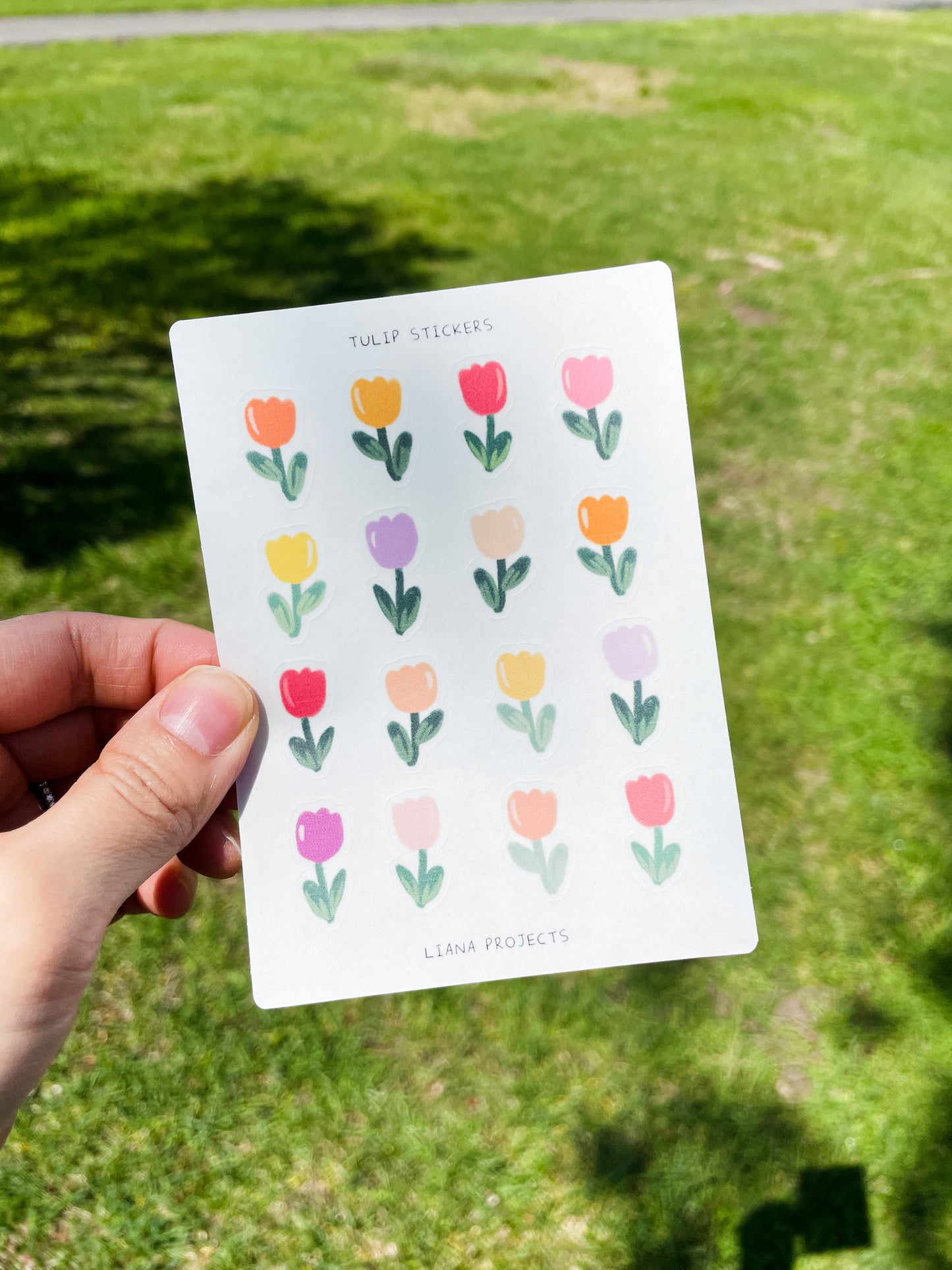 Tulip Stickers -Mini