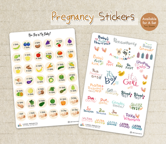 Bump/ Baby Size Pregnancy Sticker