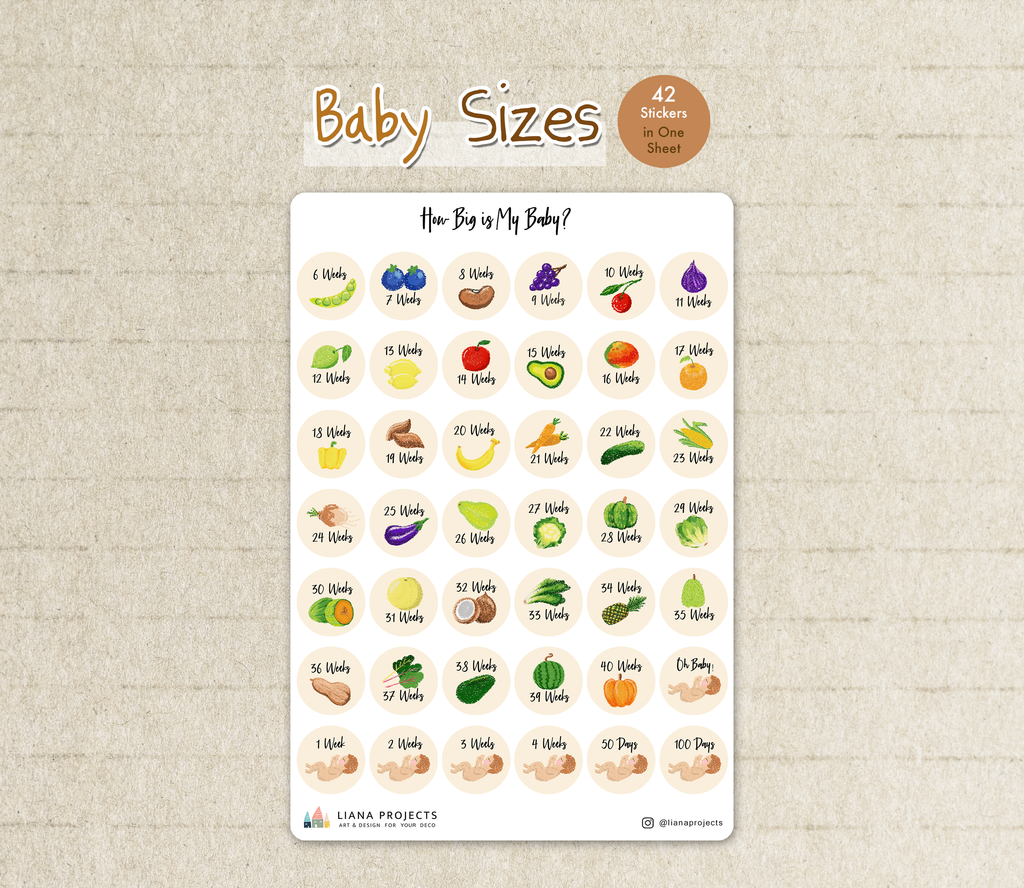 Bump/ Baby Size Pregnancy Sticker